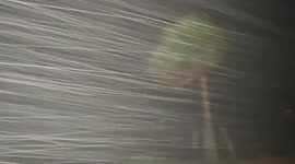 Japan: Typhoon Muifa Brings Fierce Winds To Okinawa Islands 5