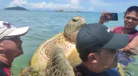 Tourist sparks outrage after making sea turtle PIGGYBACK on him during Philippines beach trip