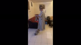 Cat leaps onto owner's dad's prayer mat in hilarious fashion