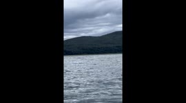 Guide captures humpback whale breaching right next to her guests' kayak in Alaska