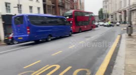 Empty Royal Bentley Limousine and cats en route through Kensington