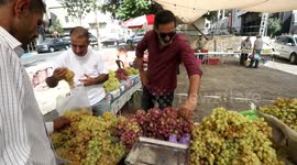 Palestinian vendors sell grapes at a grape market in the West Bank city of Ramallah