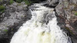 Mesmerising video shows salmon battling upstream as autumn approaches