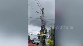 Hero worker rescues terrified stray cat stuck on top of electricity post
