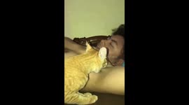 Nasty cat unexpectedly bites man's armpit after licking it