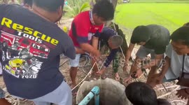 Farmer, 62, rescued after getting stuck at the bottom of 33ft-deep well