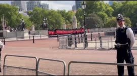 Royal guard in front of the Buckingham Palace, London, UK