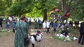 Great Dane Trevor visits Green Park Floral Tributes Garden and gets all the love from mourners of HM The Queen (2)