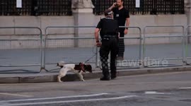 Sniffer dog patrols keep mourners safe during Her Majesty's lying in state