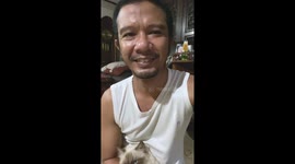 Lazy Himalayan Cat Laying On Her Owner