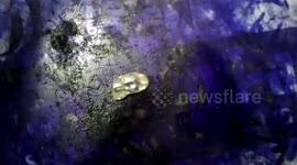 Labourer, mining student, stumble upon diamonds in central India