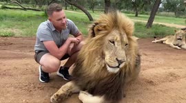 Meet the animal lover who is best friends with a 550 lbs lion that he pampers and cuddles