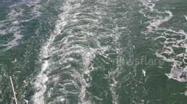 Beauty of Life At Sea @Seaman