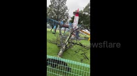 Japan: Typhoon Nanmadol With Violent Winds Knocks Down Trees In Southwestern Region 2