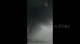 Japan: Typhoon Nanmadol With Violent Winds Knocks Down Trees In Southwestern Region