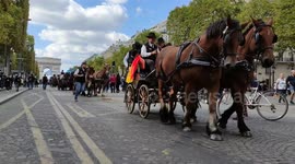 Horse parade on the Champs-Elysées as part of La Route du Poisson (The Fish Route), a draft horse race from north of France to Paris. 18 sept 2022. 15h30