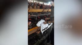Farmer wrangles huge python found resting in his henhouse