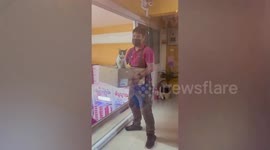 Helpful cat joins workers in carrying boxes at factory in Thailand