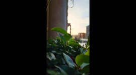 Venice in the Spring