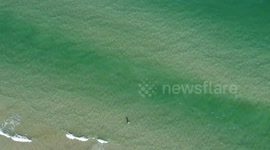 Corpus Christi Texas from the beach to the bay downtown the uss Lexington north beach