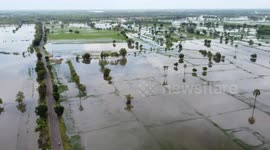 Rice fields flooded after heavy rain in northeast Thailand