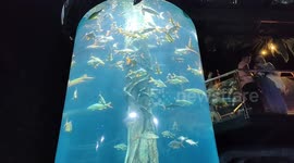 Magnificent View of Cylindrical glass Aquarium in KLCC Kuala Lumpur Malaysia