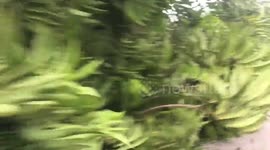 Dominican Republic: Hurricane Fiona Leaves Trail Of Damage 2