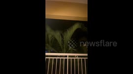 Heavy rains as hurricane Fiona reaches Punta Cana, Dominican Republic