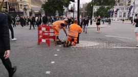 Traffic lights reinstalled in Parliament Square day after Queen's funeral