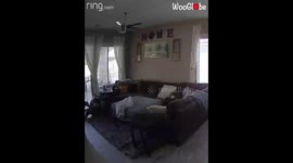 Ring camera footage shows intense fight between 2 HYPERAGGRESSIVE dogs