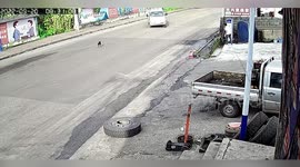Truck crashes off-road after swerving to avoid dog crossing road in China