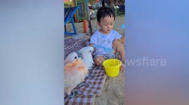 Little boy builds sand castles with friendly parrots on beach
