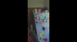 Clumsy kitten manages to get itself stuck inside metal bowl between fridge and a wall