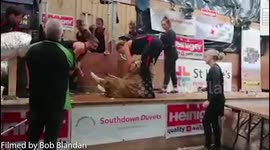 British woman has set the new world record for sheep shearing after buzzing her way through 370 sheep in eight hours