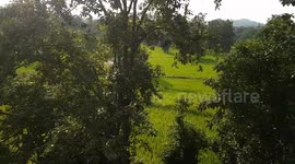 BEAUTIFUL NATURE IN THAKARPALI  PICNIC SPOT IN ODISHA ,  BEAUTIFUL NATURE