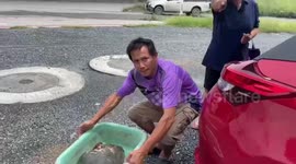 Kind driver saves injured turtle with shell cracked open 'after being hit by car' in Thailand