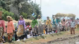 Indonesian women take part in fashion show hosted in middle of rice paddy