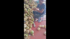 The man used a sharp iron to peel the dried coconut shell quickly