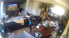 Viral moment dog goes into labor on boy's ANKLE racks up 2.6 million likes