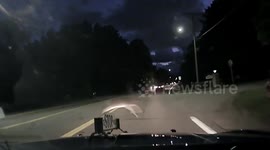 Deer hurdles car while crossing road in Michigan