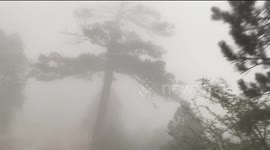 Driving through Llogara Pass in Albania, amidst a thick fog in winter day