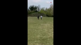 Hangry horse almost delivers a brutal kick to her owner's ribs