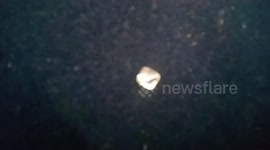 Group of farmers find diamond worth $9883 while setting up mine in central India