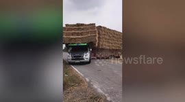 Modified pickup trucks insanely overloaded with straw bales in Thailand