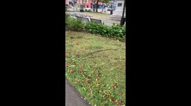 Hurricane Fiona blows through downtown Halifax Nova Scotia