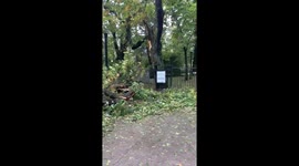 Hurricane Fiona blows through Nova Scotia