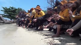 Hundreds of baby turtles released onto a Thousand Islands beach, north of Jakarta