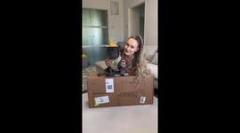 French bulldog and his owner setting up their own indoor garden