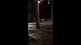 Woman screams as creepy clown chases her car in Ohio