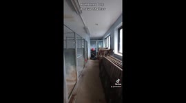 Look inside an abandoned dog rescue shelter with everything left behind